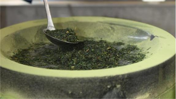 Trending in China | Explore matcha making