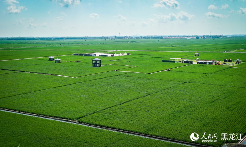 In pics: Paddy fields park in Fujin city, NE China’s Heilongjiang