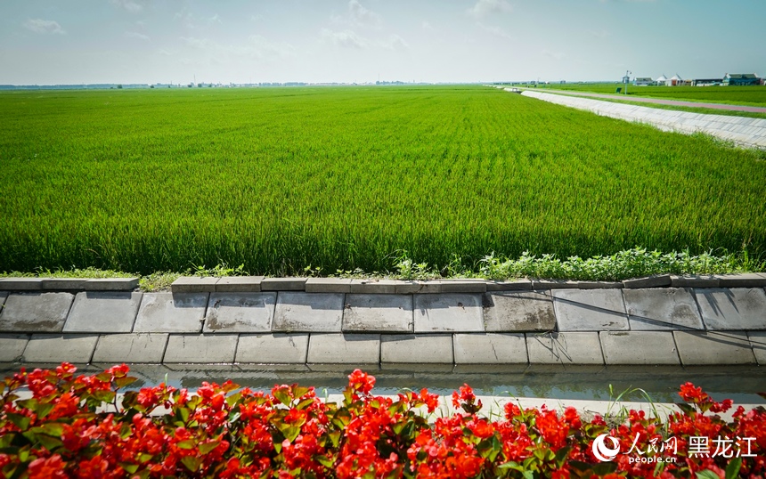 In pics: Paddy fields park in Fujin city, NE China’s Heilongjiang