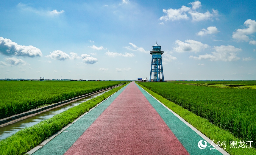 In pics: Paddy fields park in Fujin city, NE China’s Heilongjiang