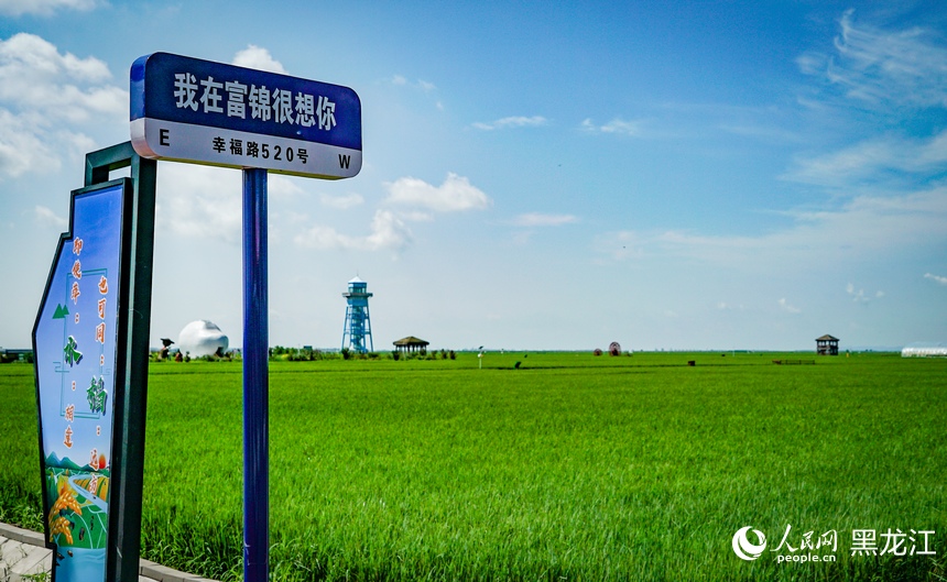 In pics: Paddy fields park in Fujin city, NE China’s Heilongjiang