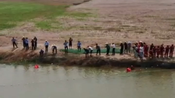 Baby finless porpoise rescued after being trapped in Yangtze River tributary