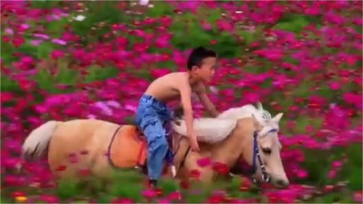 Boy shows off brilliant horseback riding skills