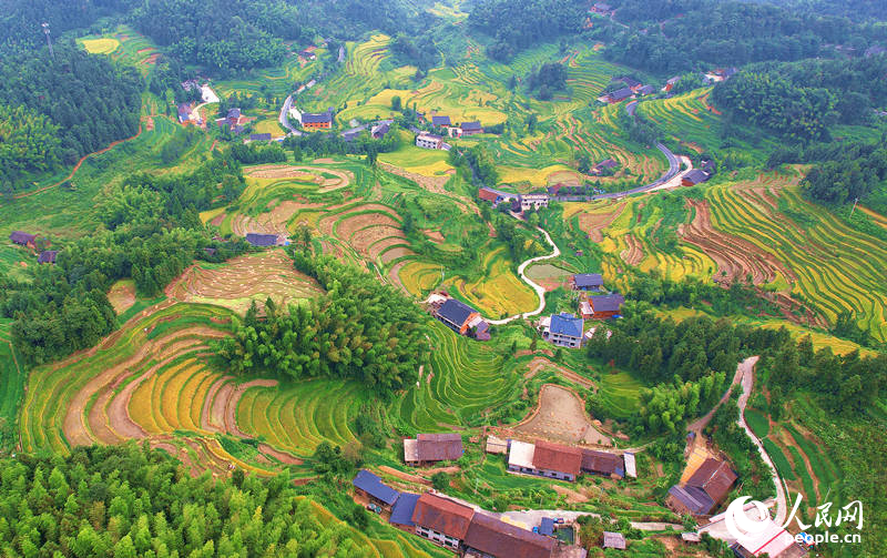 In pics: Beautiful scenery of terraces in Xinhua, C China's Hunan