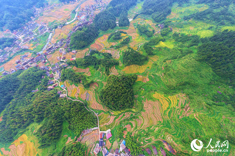 In pics: Beautiful scenery of terraces in Xinhua, C China's Hunan