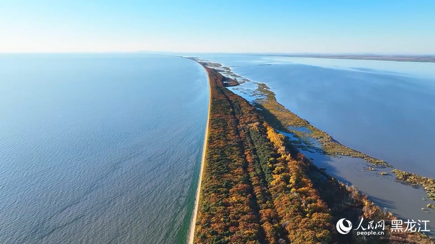 Colorful autumn scenery of Xingkai Lake in NE China's Heilongjiang delights visitors