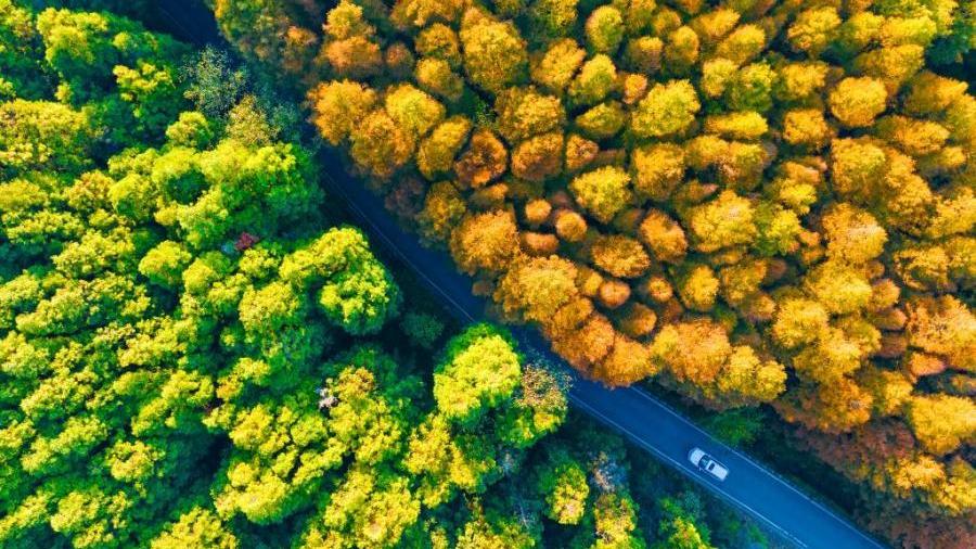 Stunning autumn scenery in Shanwangping Karst National Eco Park