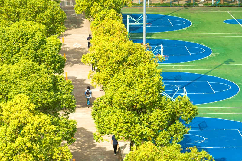 In pics: Beautiful autumn scenery of universities across China