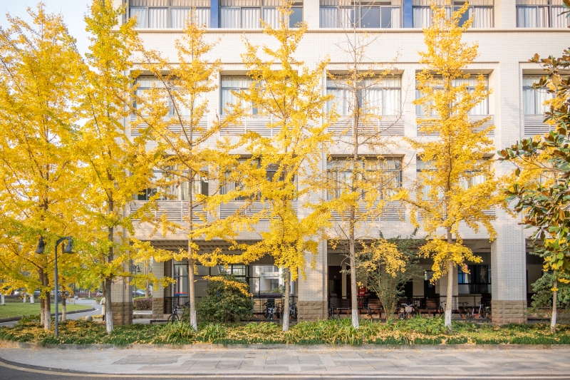 In pics: Beautiful autumn scenery of universities across China