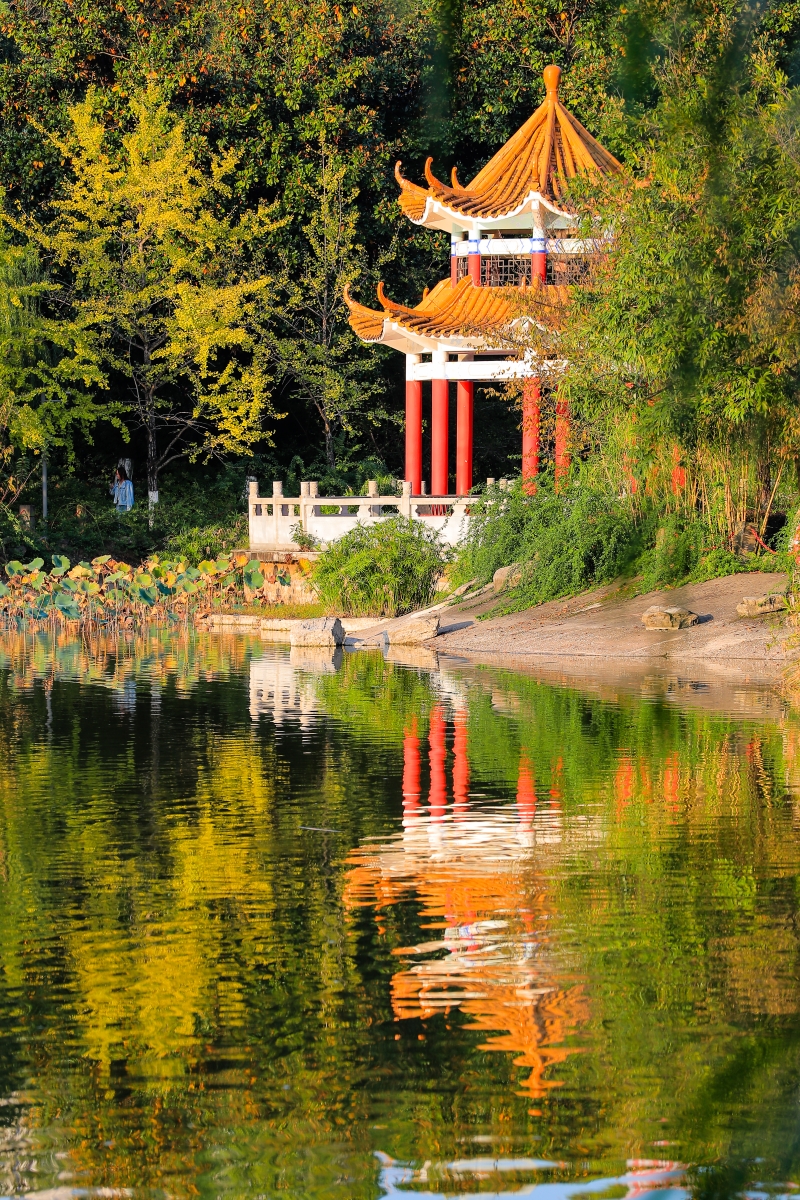 In pics: Beautiful autumn scenery of universities across China