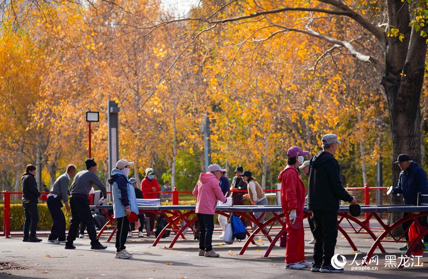 In pics: Harbin sees surging enthusiasm for physical fitness as 9th Asian Winter Games approaches