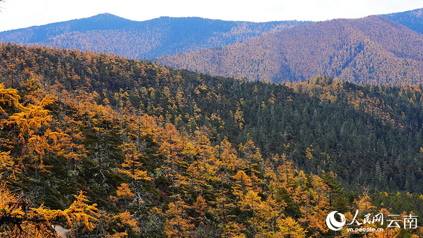 In pics: Picturesque early winter scenery of Potatso National Park in SW China's Yunnan