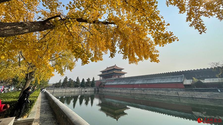 In pics: Autumn charm of Beijing