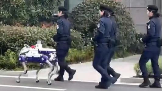 Robotic dog patrols Hangzhou streets