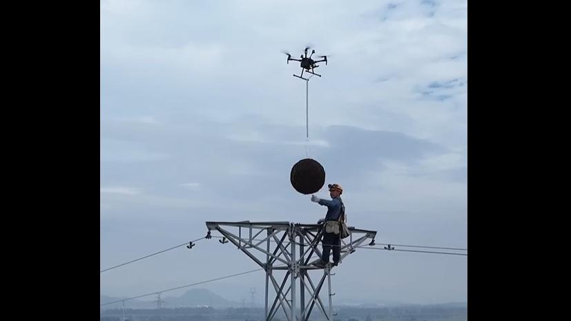 Nesting on transmission towers