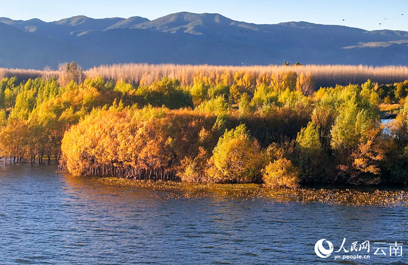 Picturesque scenery of Jianhu Lake amazes tourists in SW China's Yunnan