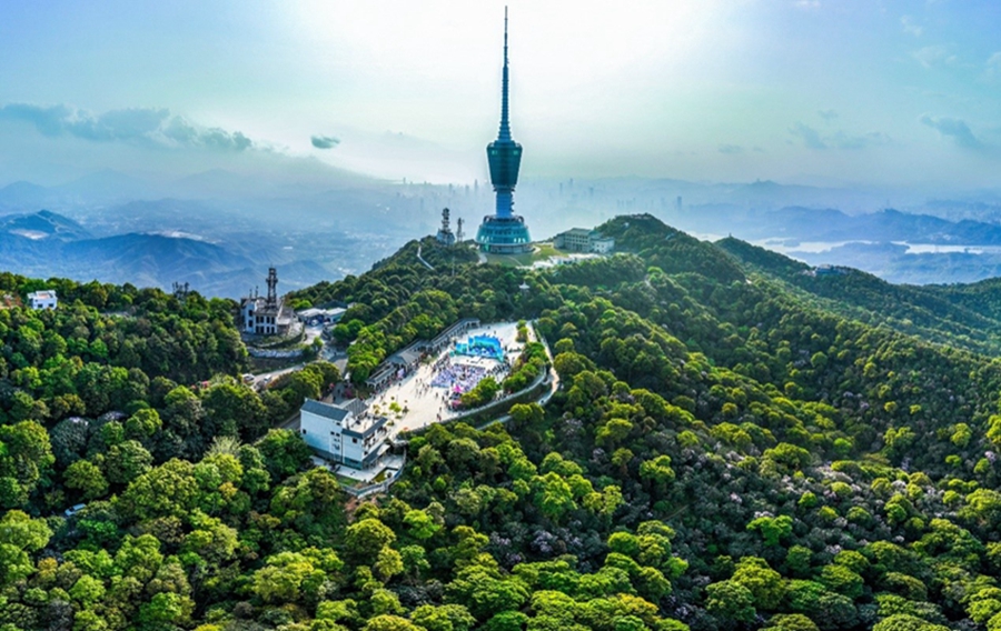 Wutong Mountain in S China's Shenzhen offers breathtaking natural and urban views