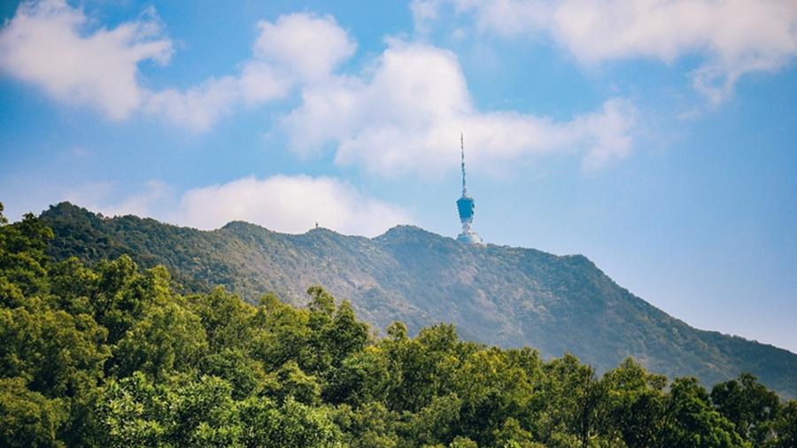 Wutong Mountain in S China's Shenzhen offers breathtaking natural and urban views