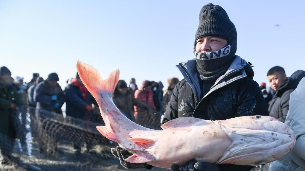 Trending | Winter fishing on Chagan Lake