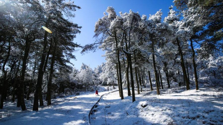 Rime creates fairyland in national forest park