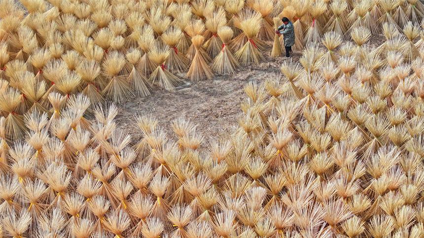 Replacing plastic with bamboo to turn green into "gold" in E China's Jiangxi