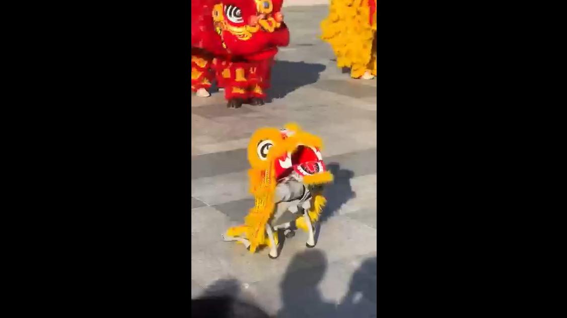 Lion dancers of the future