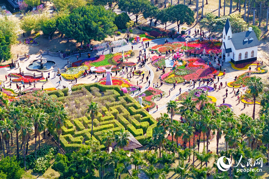 Sea of blooming tulips adds vibrant touch to Xiamen, SE China's Fujian