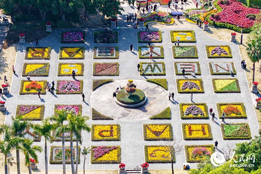 Sea of blooming tulips adds vibrant touch to Xiamen, SE China's Fujian