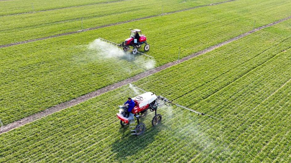 Farming activities in full swing across China in early spring