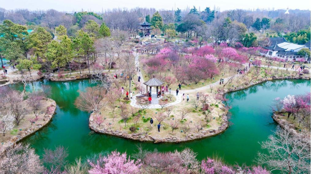 Spring scenery across China