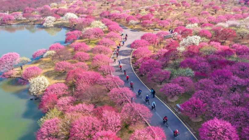 People enjoy spring across China