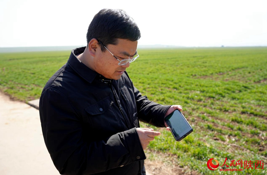 Technology empowers spring wheat management in Xi'an, NW China's Shaanxi