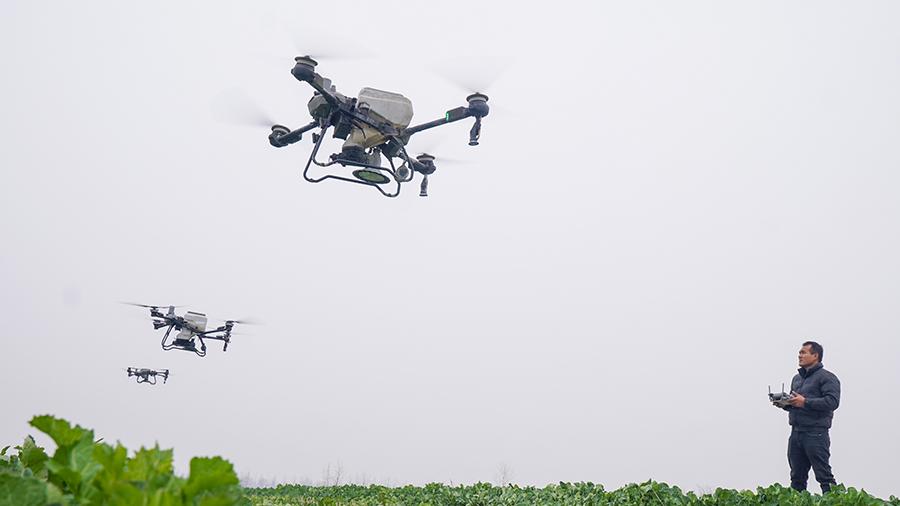 Science and technology give boost to agriculture in Wangjiang, E China's Anhui