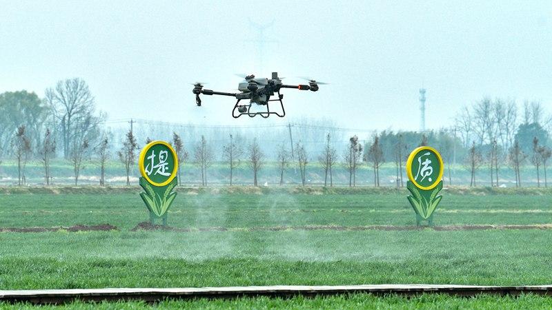 Drones apply fertilizer to wheat fields in E China's Anhui