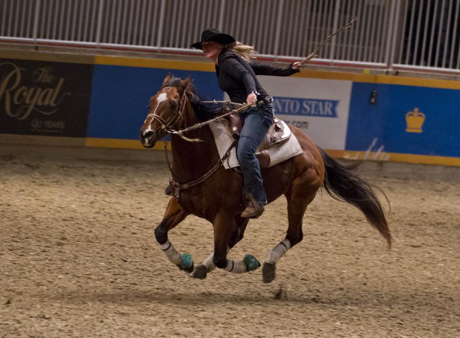 Cowgirl Anna Wallace competes during the Rodeo section of the 90th Royal Horse Show in Toronto, Canada, Nov. 4, 2012. (Xinhua/Zou Zheng)