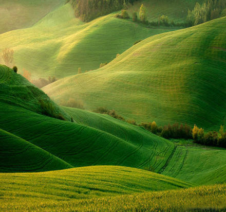 Yili, Xinjiang, China.Yili Kazak autonomous prefecture situates in the northwestern part of China's Xinjiang Uighur Autonomous Region. It is hailed as "lush southern type fields north of the Great Wall". 