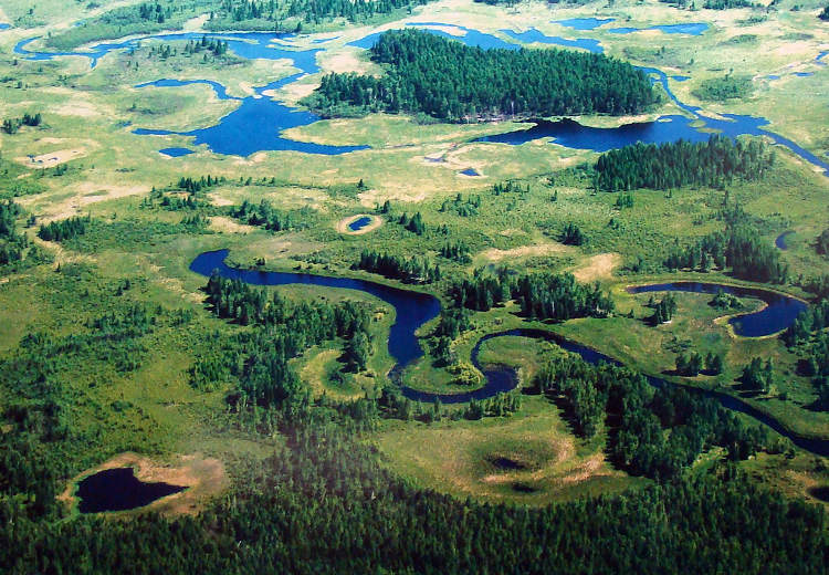 Photo shows Dazhanghe Wetland in Heilongjiang province. (People’s Daily Online/ Jiang Jianhua) 