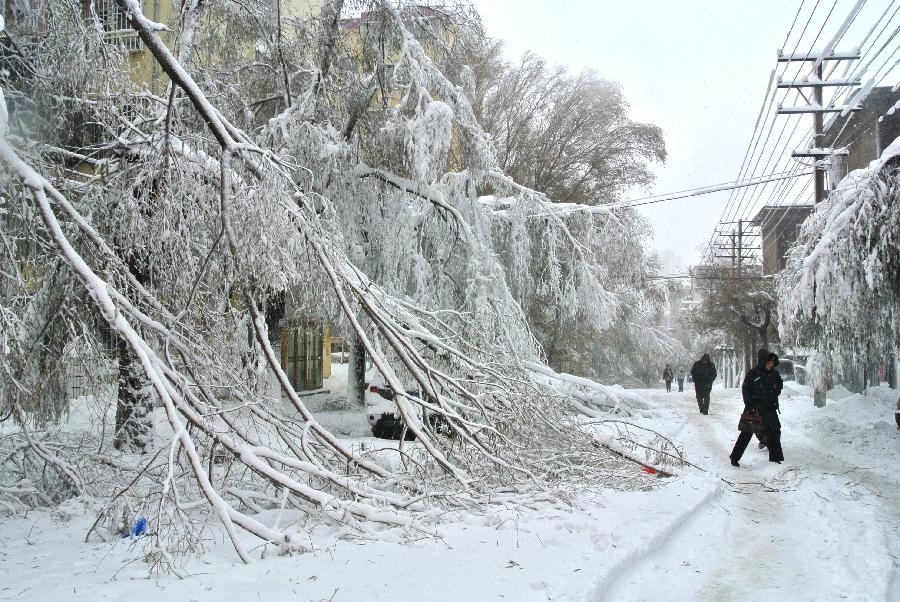 People walk on the snow-covered road in Hegang, northeast China's Heilongjiang Province, Nov. 12, 2012. Heavy snowstorms have cut off regional power and water supplies as well as forced schools and highways to close in northeast China's Heilongjiang and Jilin provinces on Monday. (Xinhua/Bao Hongsheng)