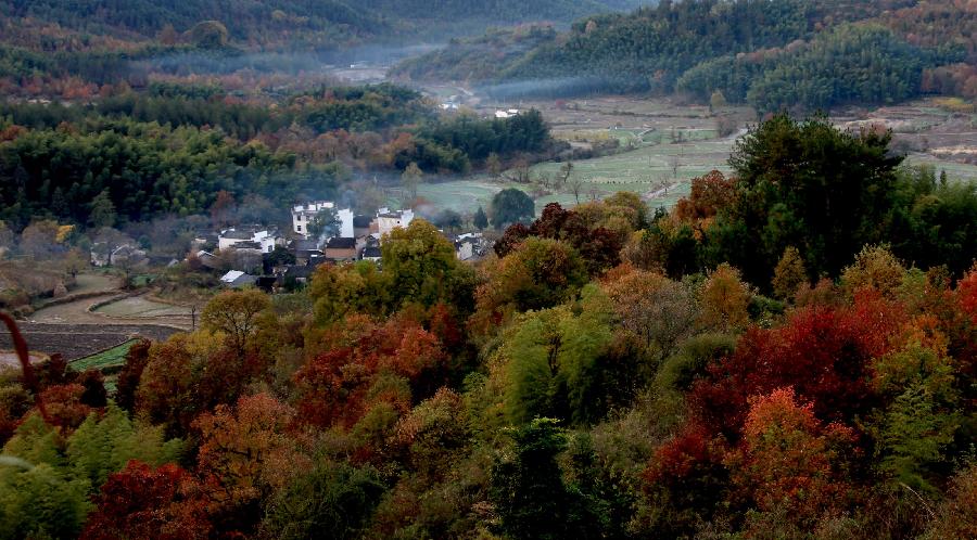 Photo taken on Nov. 12, 2012 shows the scenery of Tachuan Village, east China's Anhui Province. (Xinhua/Shi Guangde) 