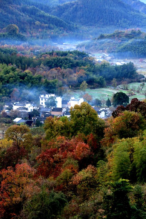 Photo taken on Nov. 12, 2012 shows the scenery of Tachuan Village, east China's Anhui Province. (Xinhua/Shi Guangde) 