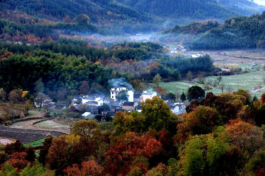 Photo taken on Nov. 12, 2012 shows the scenery of Tachuan Village, east China's Anhui Province. (Xinhua/Shi Guangde) 