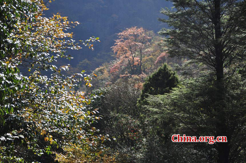 Located in Longdong Town, Baoxing County, Ya'an city, Sichuan province, Dongla Mountain Grand Canyon is one of the most famous attractions in Sichuan Province. The beautiful scenery of Dongla Mountain Grand Canyon in the early winter has attracted many tourists. (Photo by Chen Xiangzhao / China.org.cn)