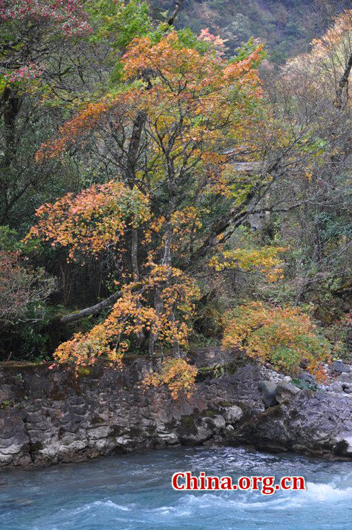 Located in Longdong Town, Baoxing County, Ya'an city, Sichuan province, Dongla Mountain Grand Canyon is one of the most famous attractions in Sichuan Province. The beautiful scenery of Dongla Mountain Grand Canyon in the early winter has attracted many tourists. (Photo by Chen Xiangzhao / China.org.cn)