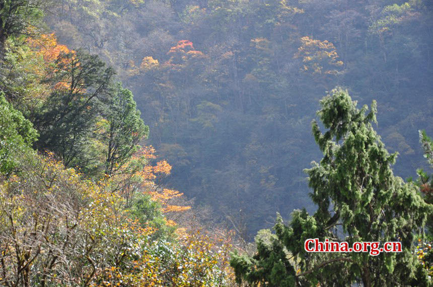 Located in Longdong Town, Baoxing County, Ya'an city, Sichuan province, Dongla Mountain Grand Canyon is one of the most famous attractions in Sichuan Province. The beautiful scenery of Dongla Mountain Grand Canyon in the early winter has attracted many tourists. (Photo by Chen Xiangzhao / China.org.cn)