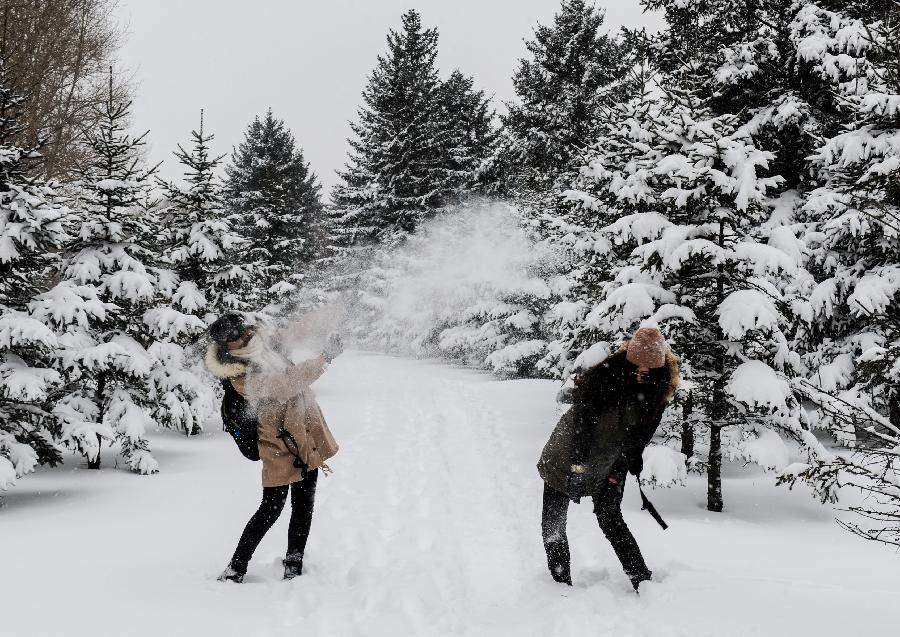 Citizens play snow fighting in Nanhu Park in Changchun, capital of northeast China's Jilin Province, Nov. 13, 2012. The city witnessed a heavy snow since Monday. (Xinhua/Xu Chang) 