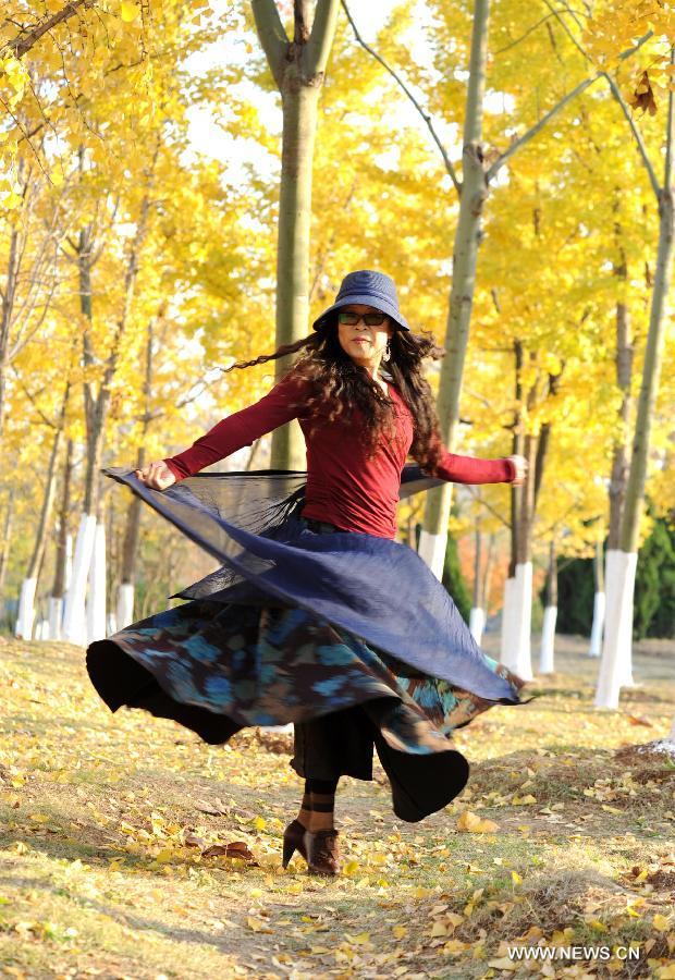 A woman poses for photos in the ginkgo forest in Lianyungang, east China's Jiangsu Province, Nov. 13, 2012. (Xinhua/Geng Yuhe) 