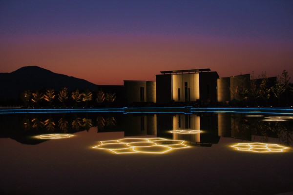 LED flowers glow in a pool at Dayuan Cultural Garden. (Photo: CRIENGLISH.com/William Wang)