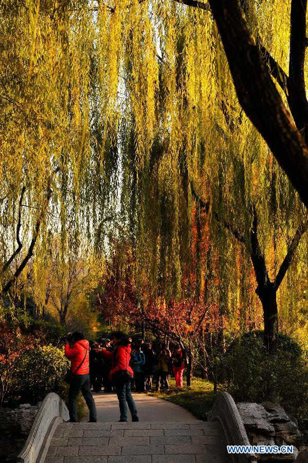 Citizens take pictures at the Daming Lake, a scenic spot in Jinan, capital of east China's Shandong Province, Nov. 14, 2012. (Xinhua/Guo Xulei)