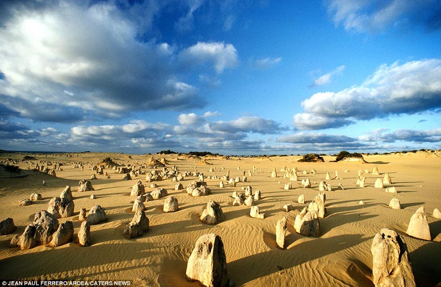 Nambung National Park, Australia (Photo Source: cnr.com)