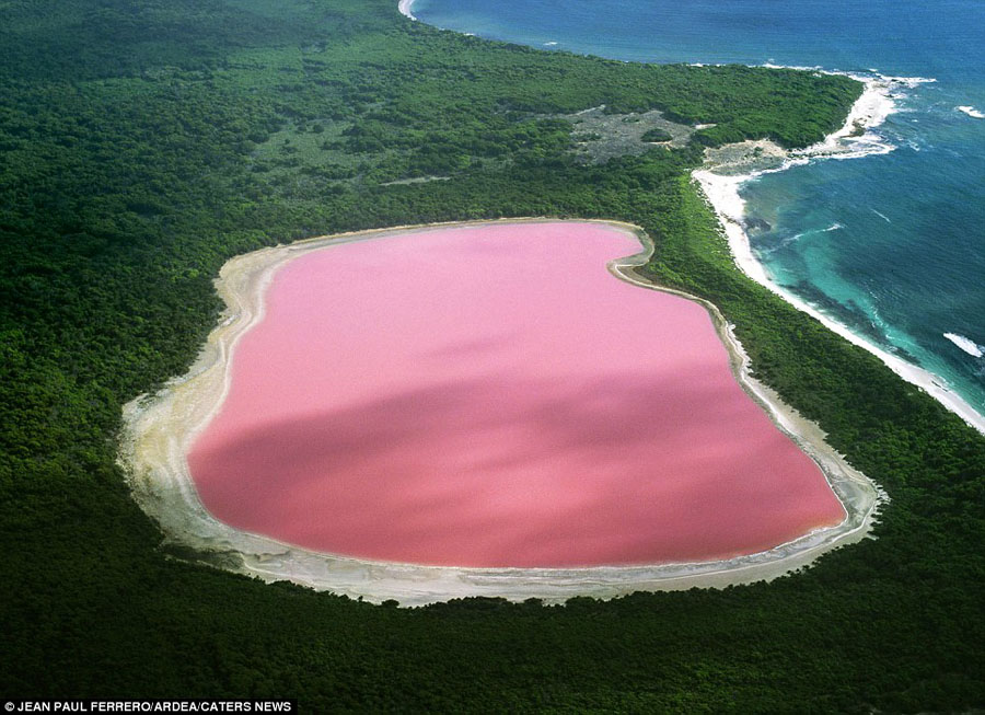 Pink Lake, Western Australia, Australia (Photo Source: cnr.com)